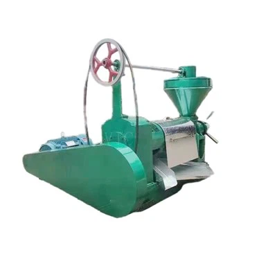 Cold Press Oil Extraction Machine with CE 6YL-100